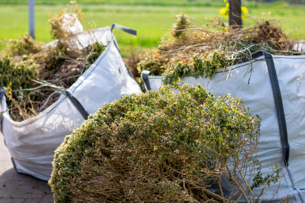 Professional Junk Removal Services in Irmo, SC